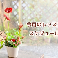 niko*hana -にこはな-