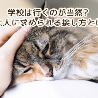 niko*hana -にこはな-