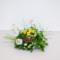 花の工房　野ばらの実