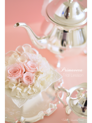 Primavera（プリマヴェーラ）