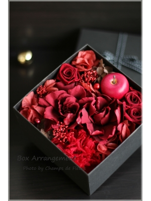 Champs de Fleurs