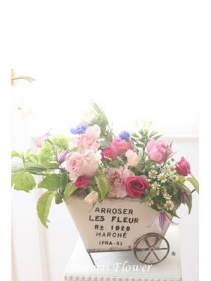 ＨＩＲＯＭＩ　ＦＬＯＷＥＲ