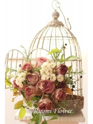 ＨＩＲＯＭＩ　ＦＬＯＷＥＲ