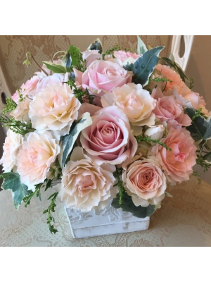 Lys  feuille   リス フィーユ