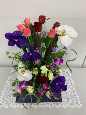 スイトピー（Sweet Pea）