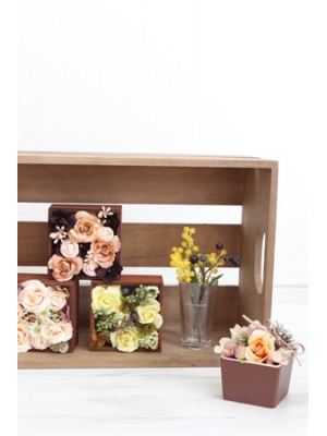 Ranunculus